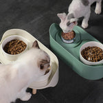 Cat/Dog Dual Feeding Bowl Nonslip Ceramic