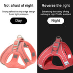 Chest Harness With Leash Reflective