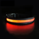 MASBRILL LED Light Up Dog Collar