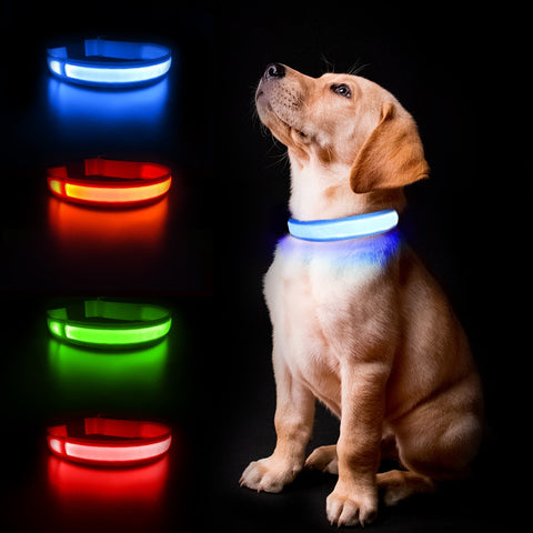 Luminous Waterpoof Safety Collars