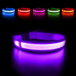 LED Dog Collar Luminous Waterpoof  Flashing