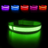 LED Dog Collar Luminous Waterpoof  Flashing