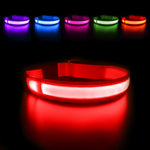 LED Dog Collar Luminous Waterpoof  Flashing