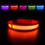 LED Dog Collar Luminous Waterpoof  Flashing