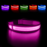 LED Dog Collar Luminous Waterpoof  Flashing