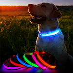 Luminous Waterpoof Safety Collars